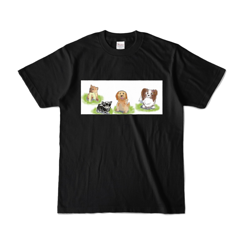 カラーTシャツ