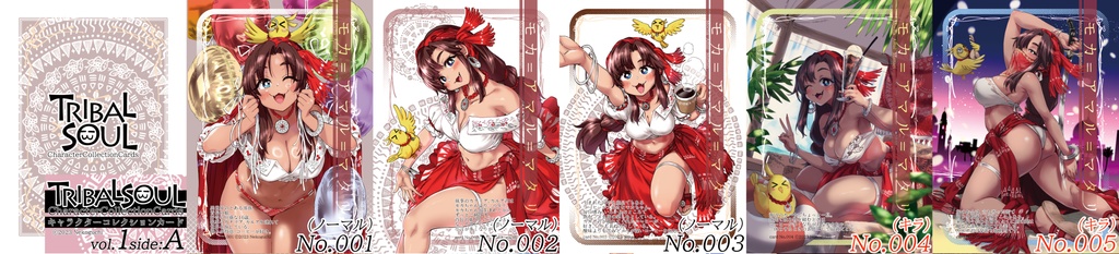 TribalSoulトレーディングカード(vol.1side:A)