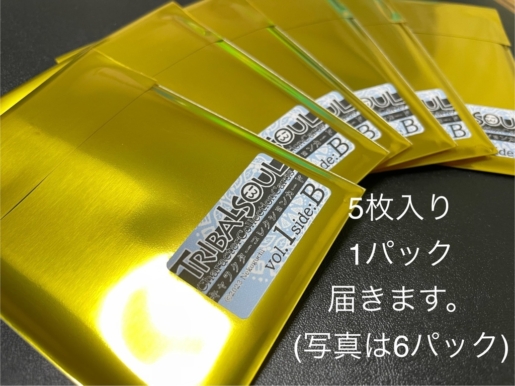 TribalSoulトレーディングカード(vol.1side:B)