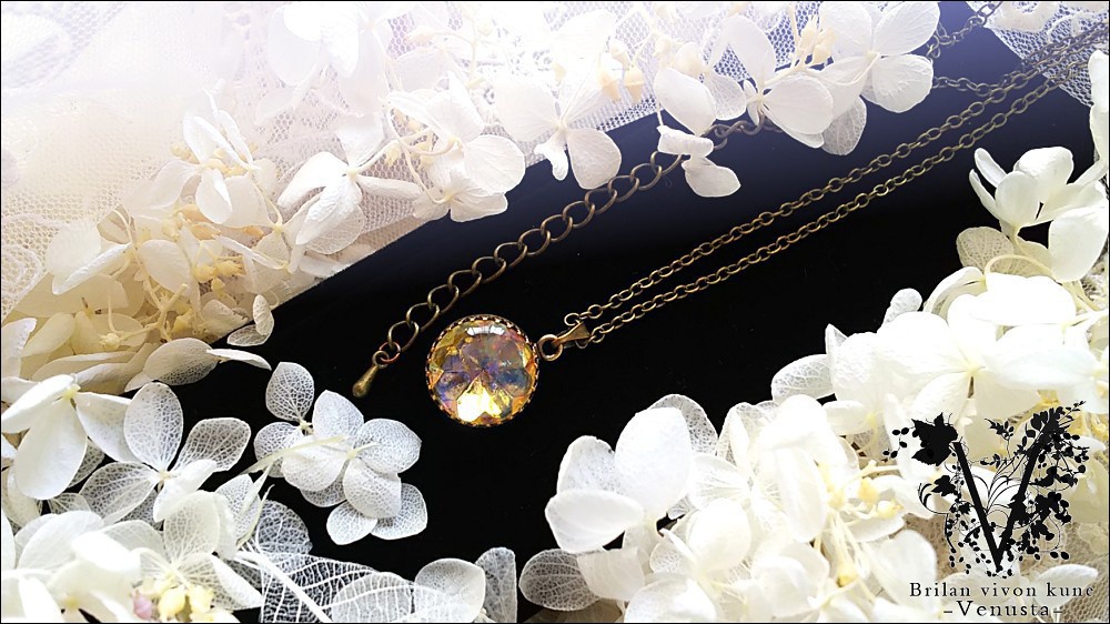 *鮮やかシラーのドラゴンズブレス-Vintage-*