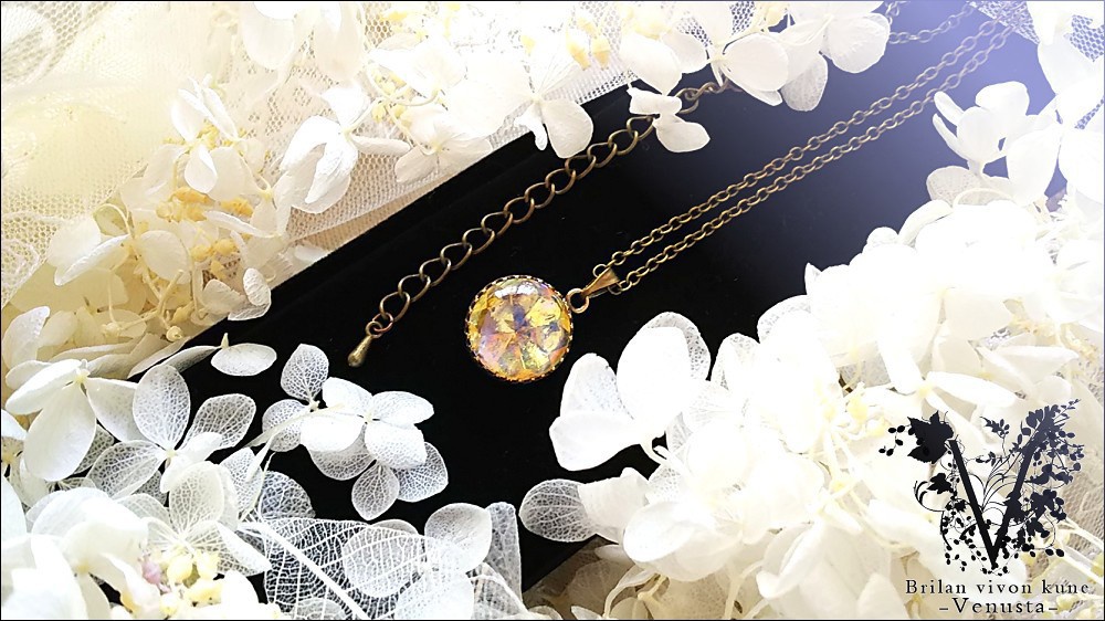 *鮮やかシラーのドラゴンズブレス-Vintage-*