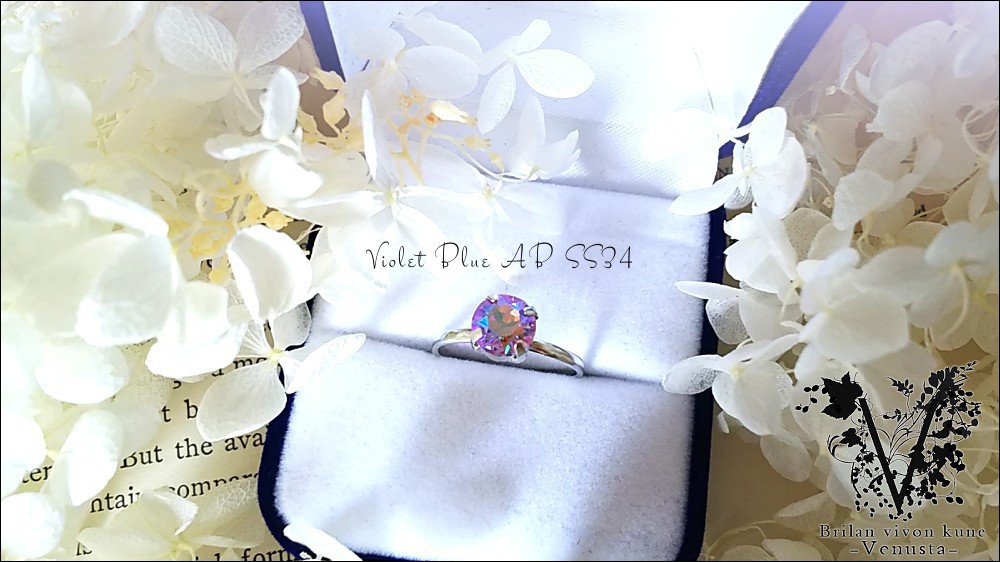 *銀の光を纏って-Vintage-*