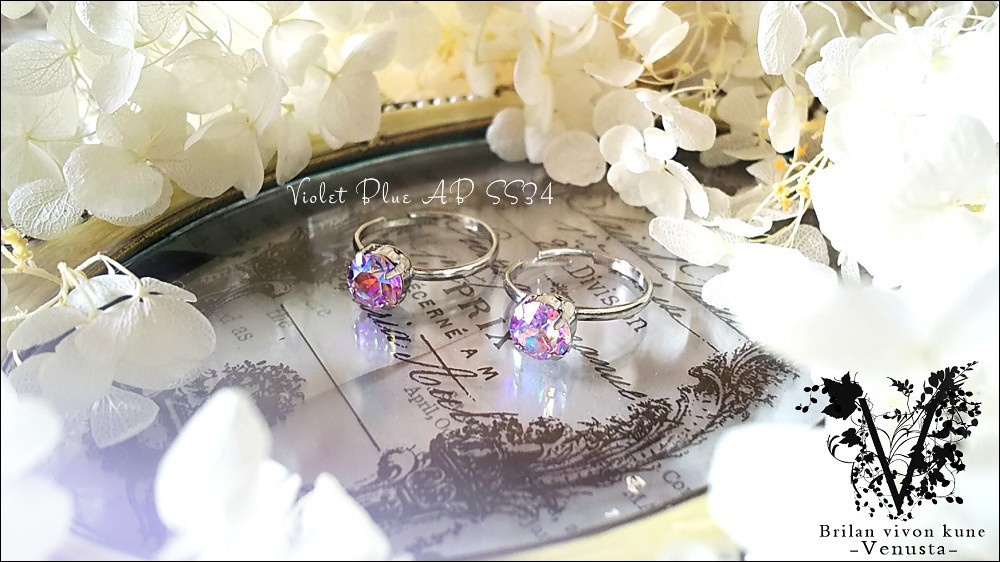 *銀の光を纏って-Vintage-*