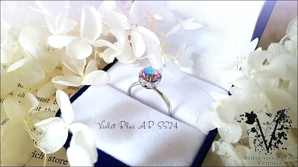 *銀の光を纏って-Vintage-*