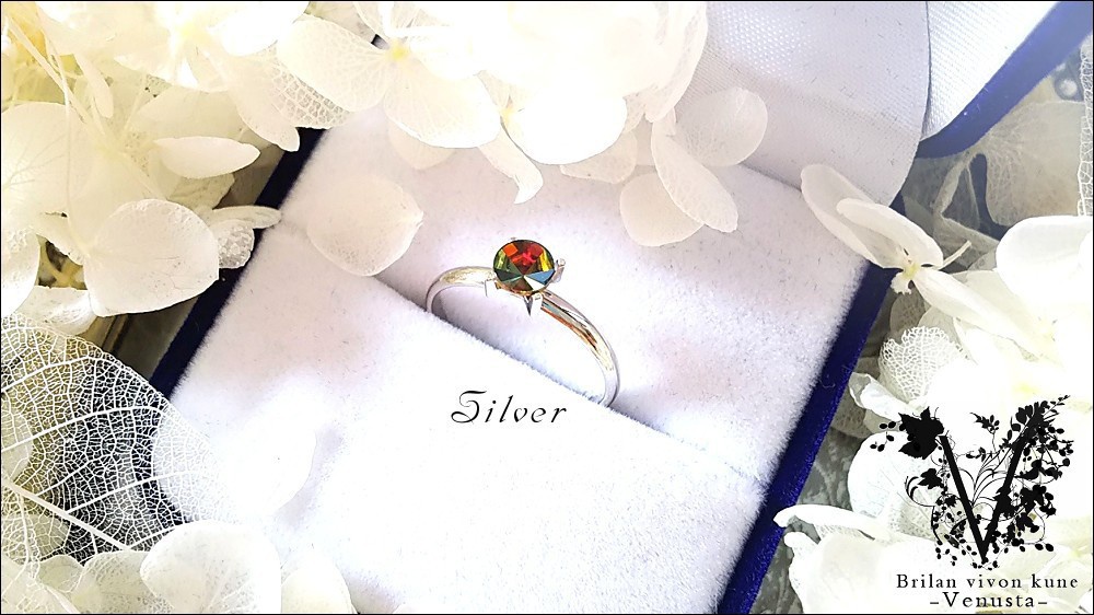 *ヴィトレイルの小さな輝きを-Vintage-*