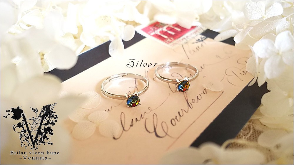 *ヴィトレイルの小さな輝きを-Vintage-*