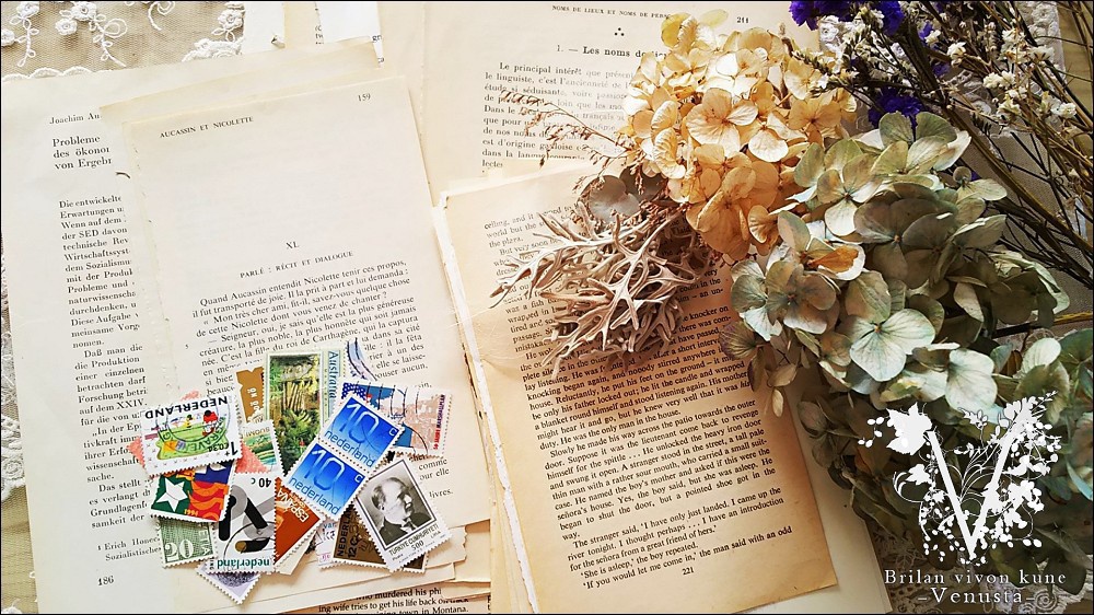 *艶美なヴァイオレットのベゼルリング-Vintage-*