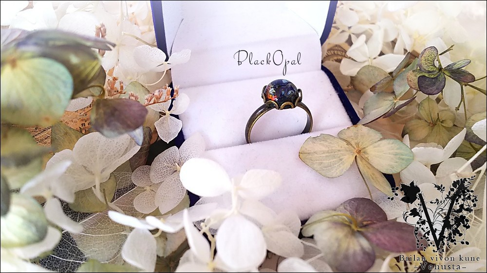 *ブラックオパールのリングネックレス-Vintage-*