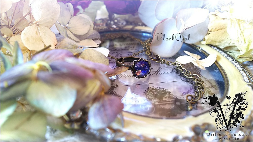 *ブラックオパールのリングネックレス-Vintage-*