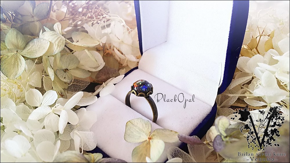 *ブラックオパールのリングネックレス-Vintage-*