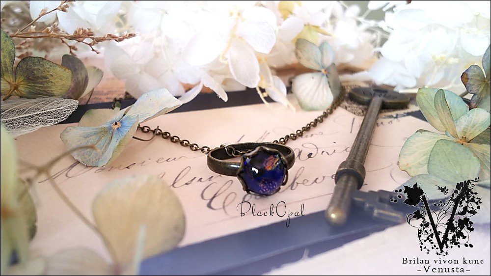 *ブラックオパールのリングネックレス-Vintage-*