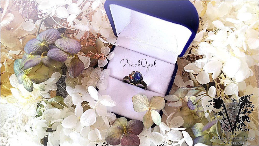 *ブラックオパールのリングネックレス-Vintage-*