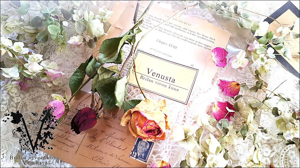 *レースドイリーと洋書のプチセットⅠ*