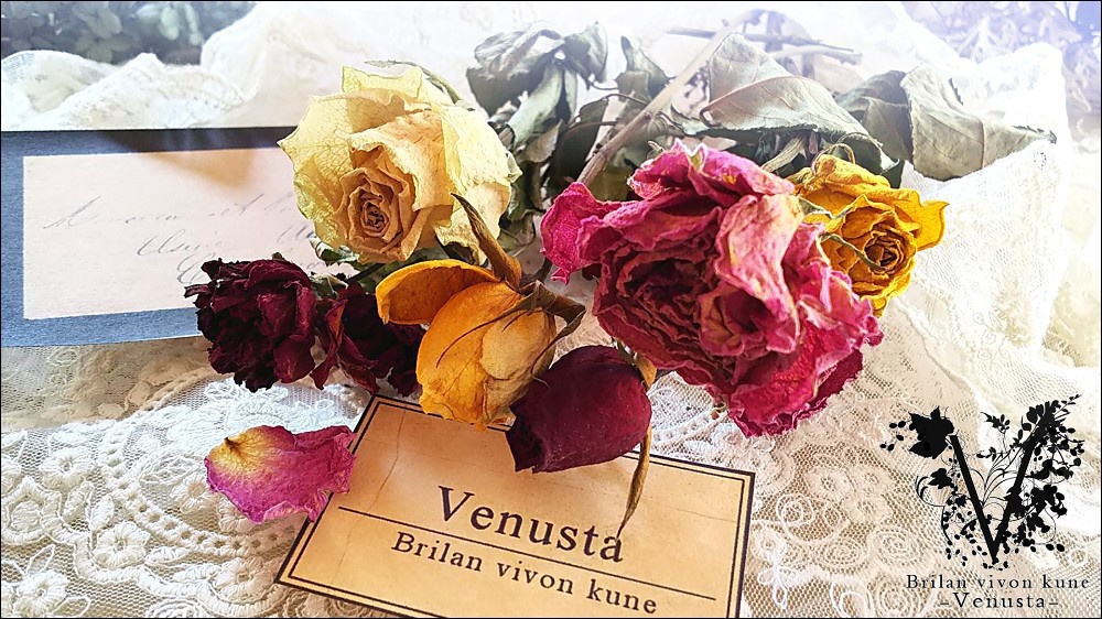 *レースドイリーと洋書のプチセットⅠ*