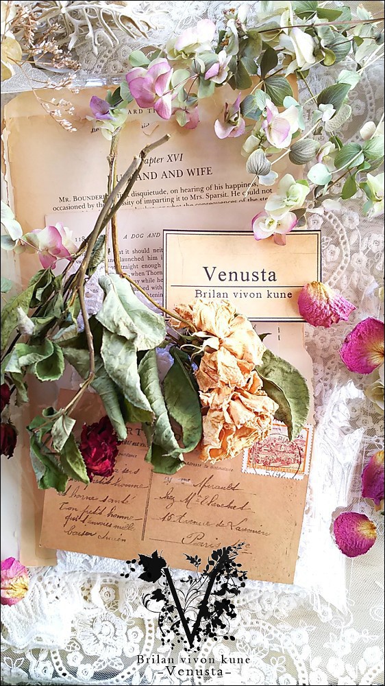 *レースドイリーと洋書のプチセットⅠ*