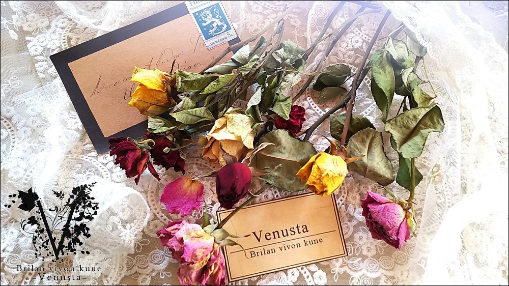 *レースドイリーと洋書のプチセットⅠ*