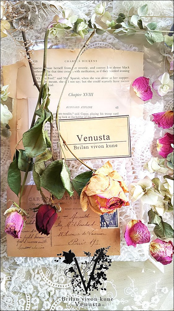 *レースドイリーと洋書のプチセットⅠ*