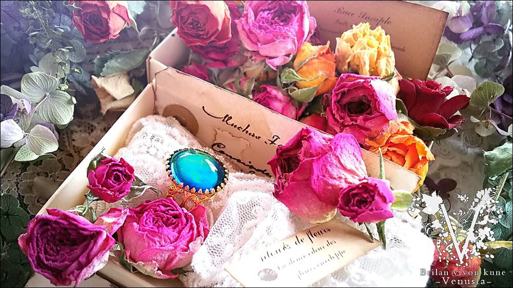 *ロマンス・ブルーに魅せられて-Vintage-*