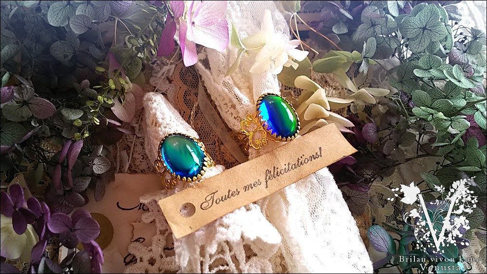 *ロマンス・ブルーに魅せられて-Vintage-*