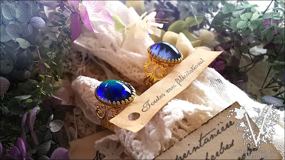 *ロマンス・ブルーに魅せられて-Vintage-*