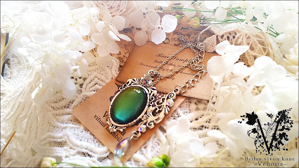 バラエティパックB