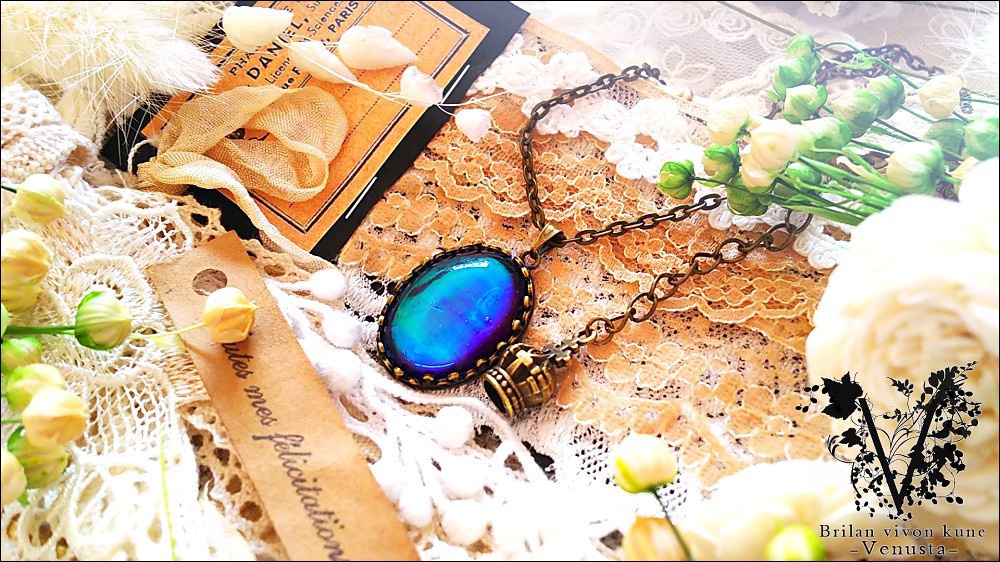 バラエティパックC