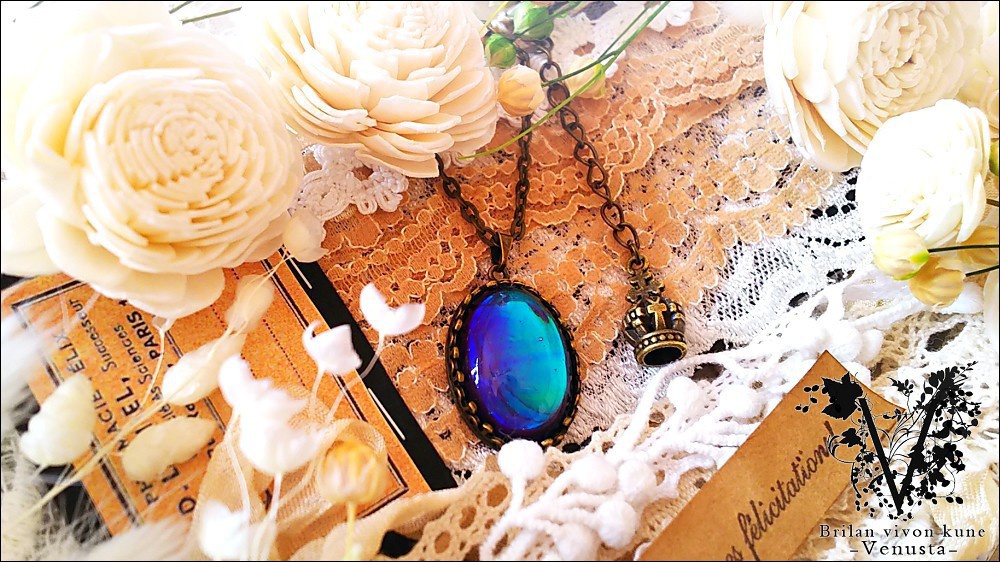 バラエティパックC