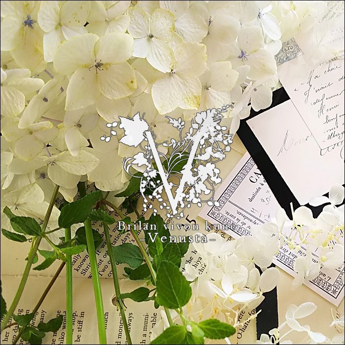 *お知らせや更新・再販内容*