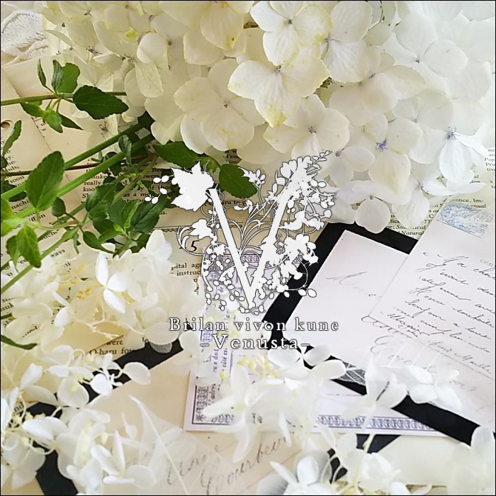 *お知らせや更新・再販内容*