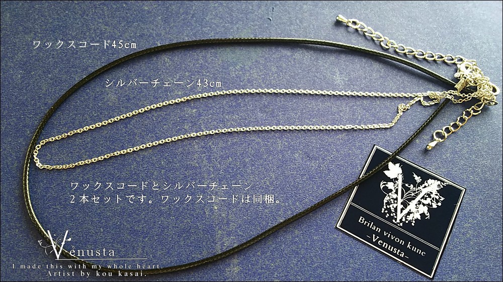 *銀の匙に煌めく宝石を乗せて-2wayネックレス-*