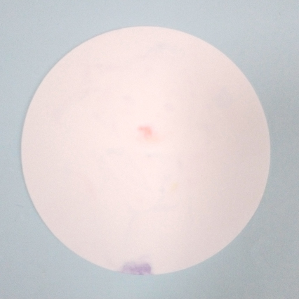 オリジナル手描きコースター