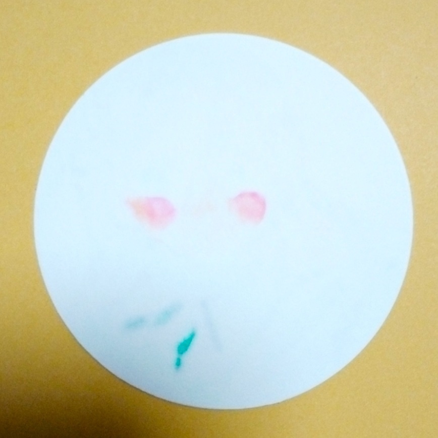 オリジナル手描きコースター