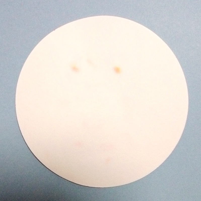 オリジナル手描きコースター