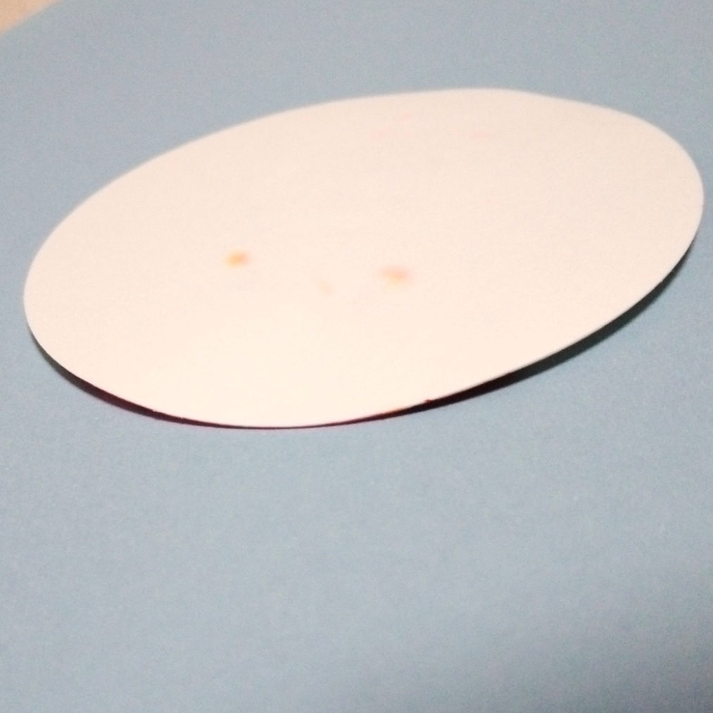 オリジナル手描きコースター