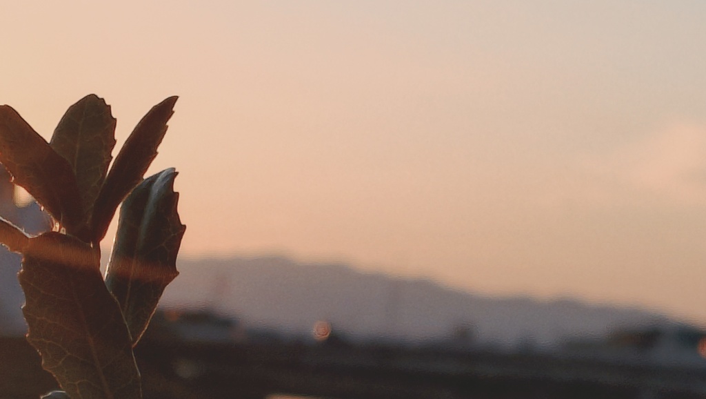 夕暮れのおしゃれな背景集