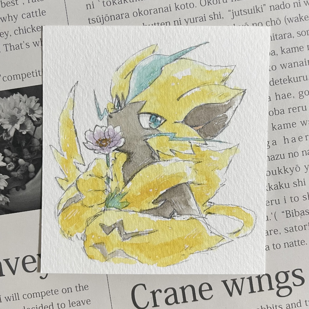 アネモネとゼラオラ 手描きイラスト