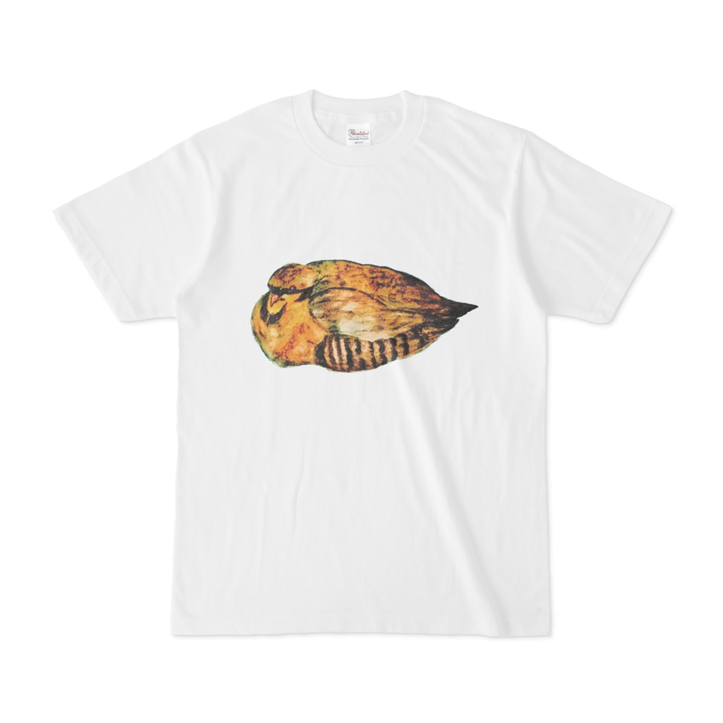 イワシャコシャツ