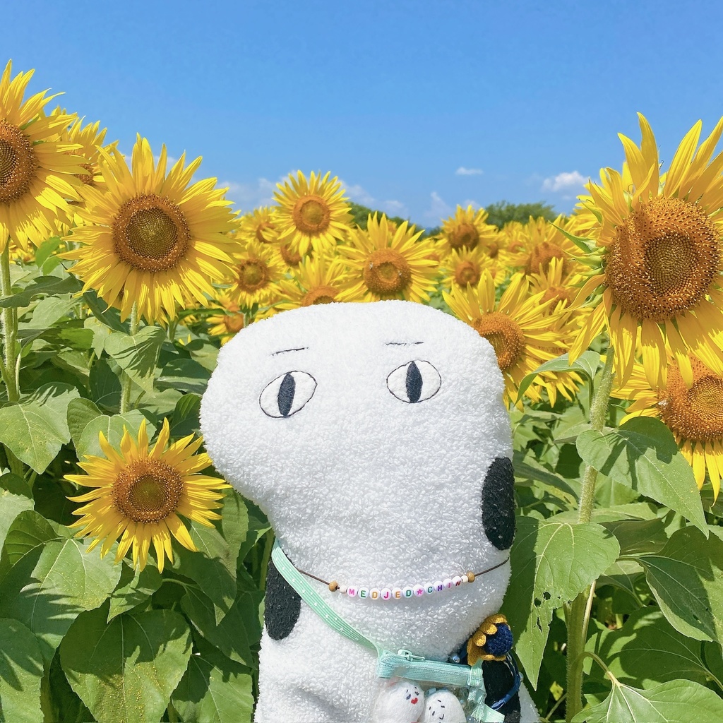 めじぇちんTシャツ