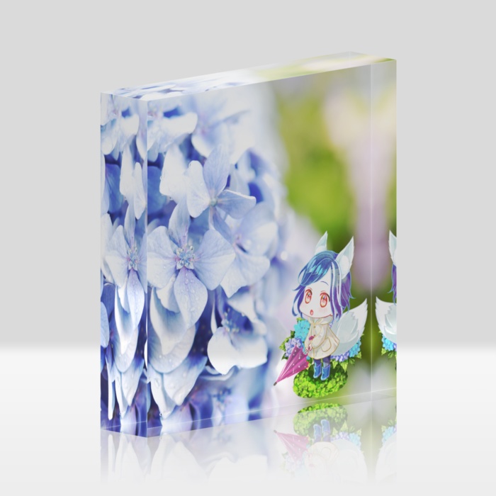 Hydrangea