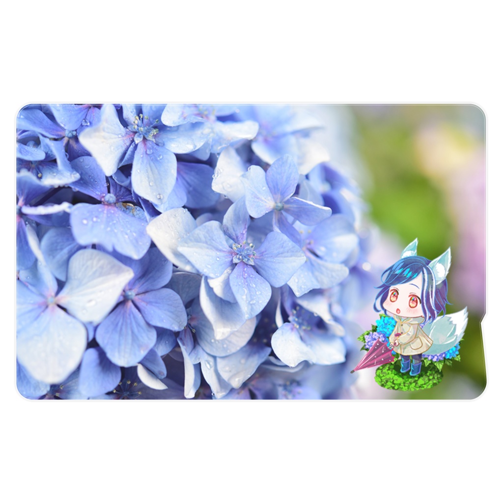 Hydrangea