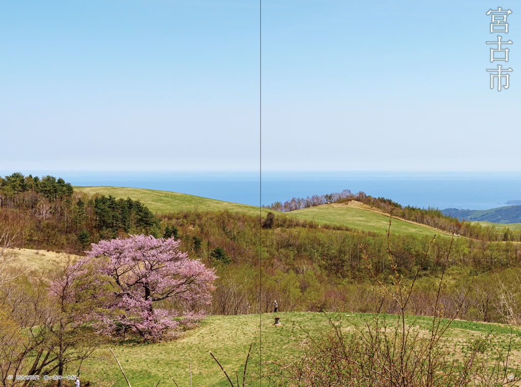 【PDF版】大槌町 ここは復興最前線 ~そして空と海と山に抱かれた街2018~