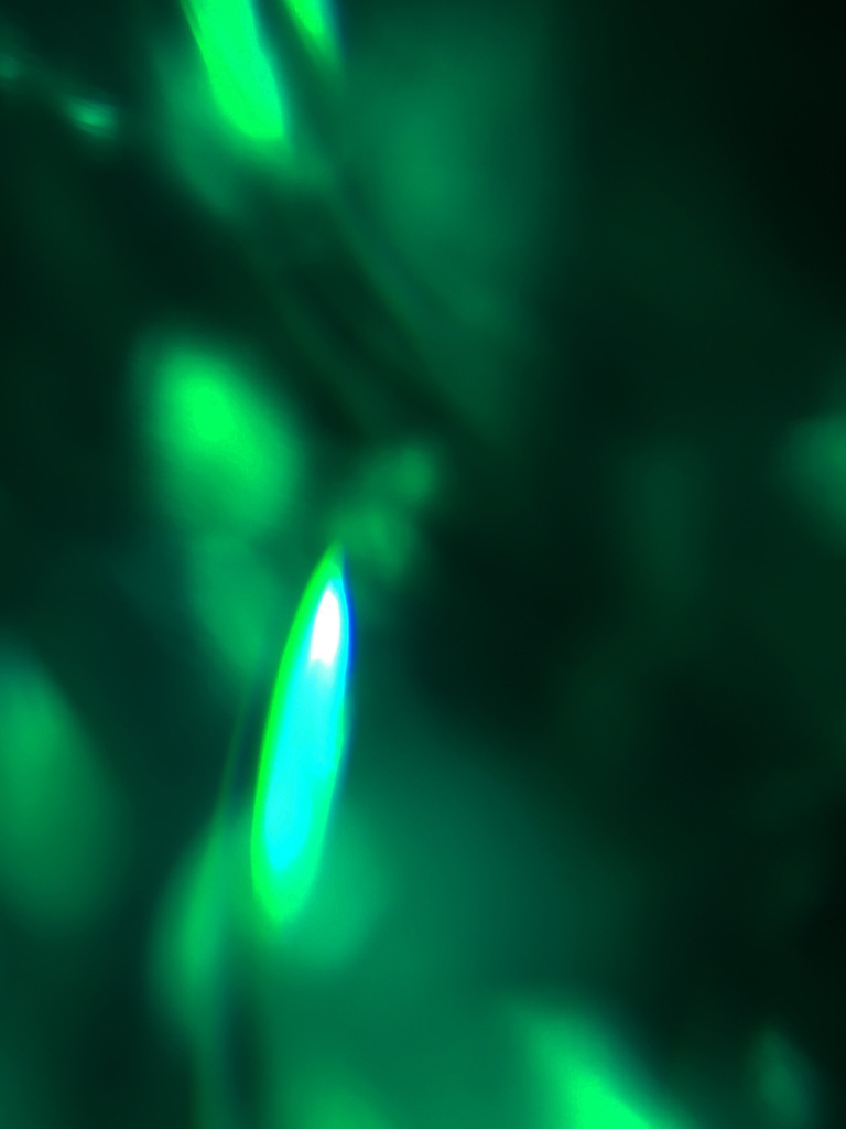 幻の光 表紙、背景用素材集