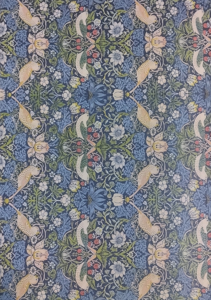 ねぇ、知ってる？