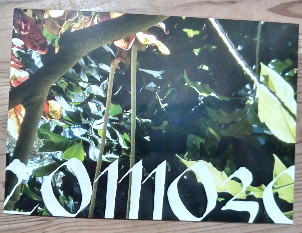 20111030