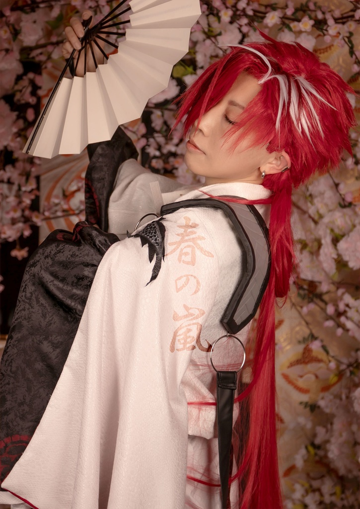 桜と高杉写真集「春の嵐」