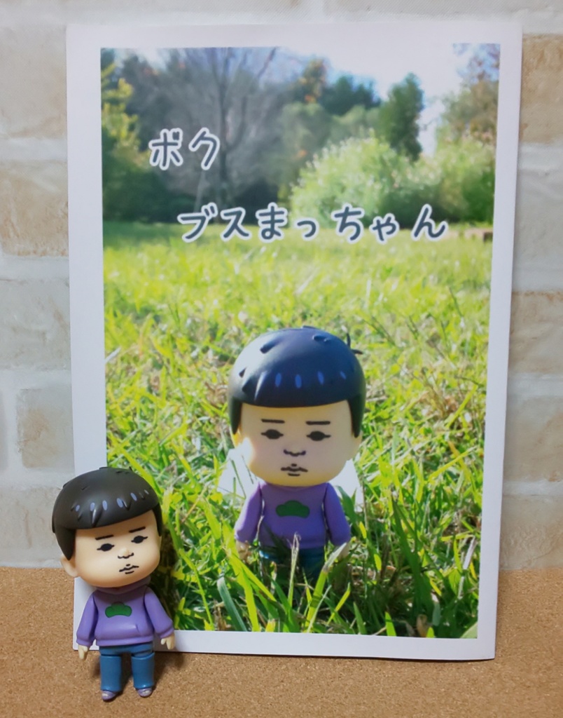 写真集｢ボク ブスまっちゃん｣