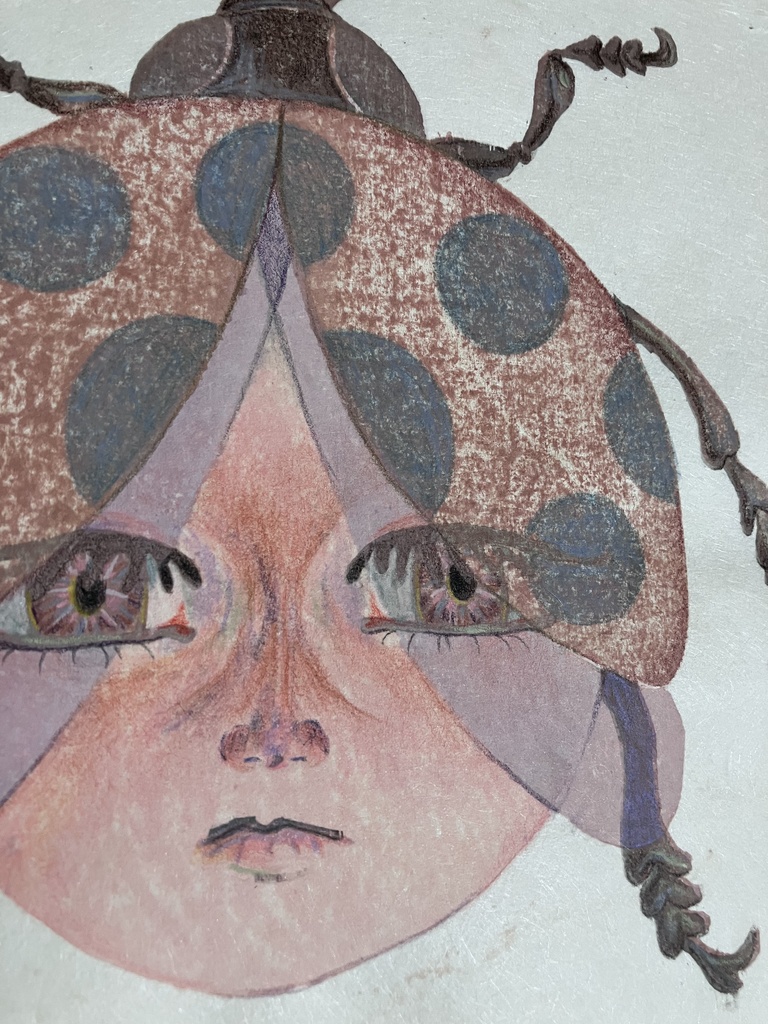 ナミテントウ(茶)