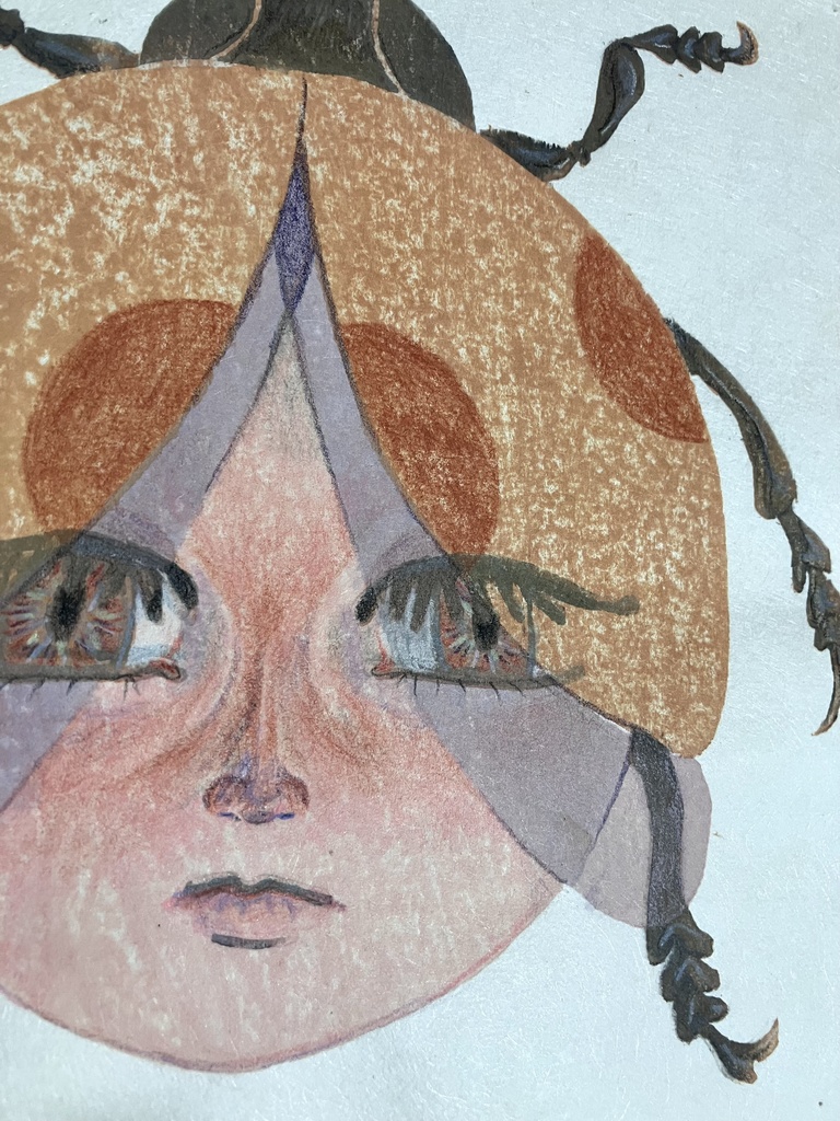 ナミテントウ(オレンジ)