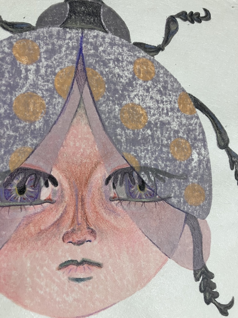 ナミテントウ(ムラサキ)