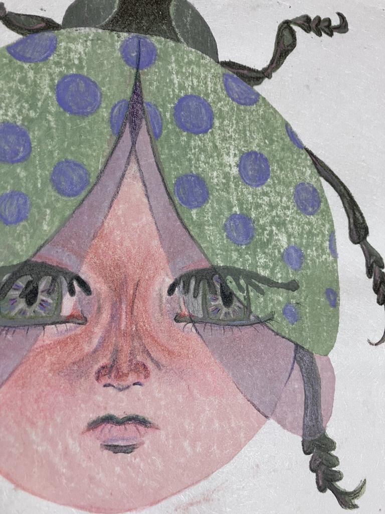 ナミテントウ(緑)